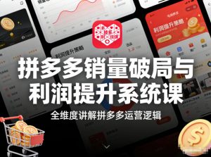 拼多多销量破局与利润提升系统课，全维度讲解拼多多运营逻辑-知乎者也