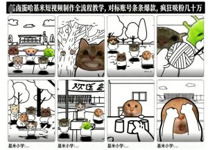 卤蛋哈基米短视频制作全流程教学，条条爆款，疯狂吸粉几十万-知乎者也