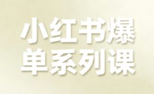 小红书爆单系列课,聚焦小红书电商全链路增长(更新)-知乎者也
