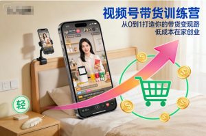 视频号带货训练营,从0到1打造你的带货变现路,低成本在家创业-知乎者也