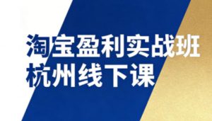 淘宝盈利实战班杭州线下课12月26-28日(音频+字幕),帮你掌握SOP流程+12门核心技术-知乎者也