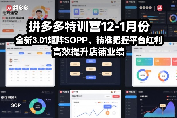 拼多多特训营12-1月份,全新3.01矩阵Sop,精准把握平台红利,高效提升店铺业绩-知乎者也