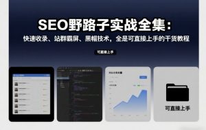 SEO野路子实战全集:快速收录、站群霸屏、黑帽技术,全是可直接上手的干货教程-知乎者也