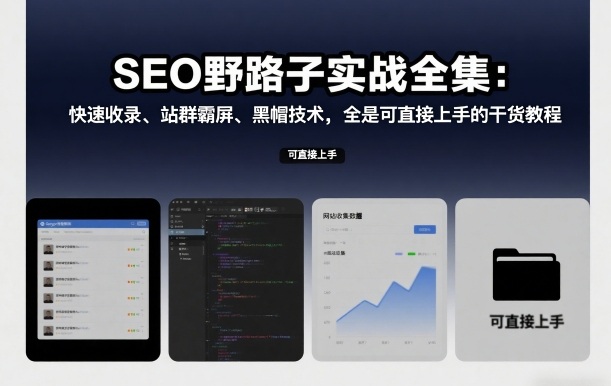 SEO野路子实战全集:快速收录、站群霸屏、黑帽技术,全是可直接上手的干货教程-知乎者也