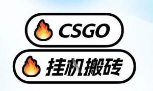 真全网独家CSGO挂G,最新玩法,单日捡漏1K+,不用电脑,不用打游戏【揭秘】-知乎者也