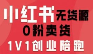 小红书无货源0粉电商课,开店准备、选品策略、笔记撰写、视频剪辑、数据分析、账号打造、资料文档(更新)-知乎者也