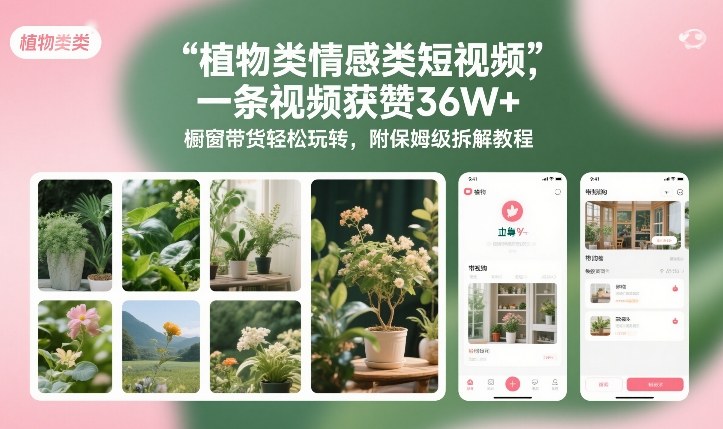 植物类情感类短视频，一条视频获赞36W+，橱窗带货轻松玩转，附保姆级拆解教程-知乎者也