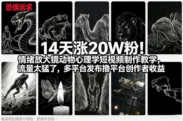 14天涨20W粉！情绪放大镜动物心理学短视频制作教学，流量太猛了，多平台发布撸平台创作者收益-知乎者也