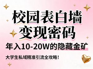 校园表白墙变现密码,年入10-20W的隐藏金矿,大学生私域精准引流全攻略!-知乎者也