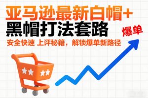 亚马逊最新白帽+黑帽打法套路,安全快速上评秘籍,解锁爆单新路径-知乎者也