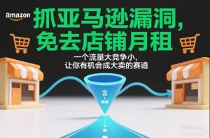 抓亚马逊漏洞,免去店铺月租,一个流量大竞争小,让你有机会成大卖的赛道-知乎者也